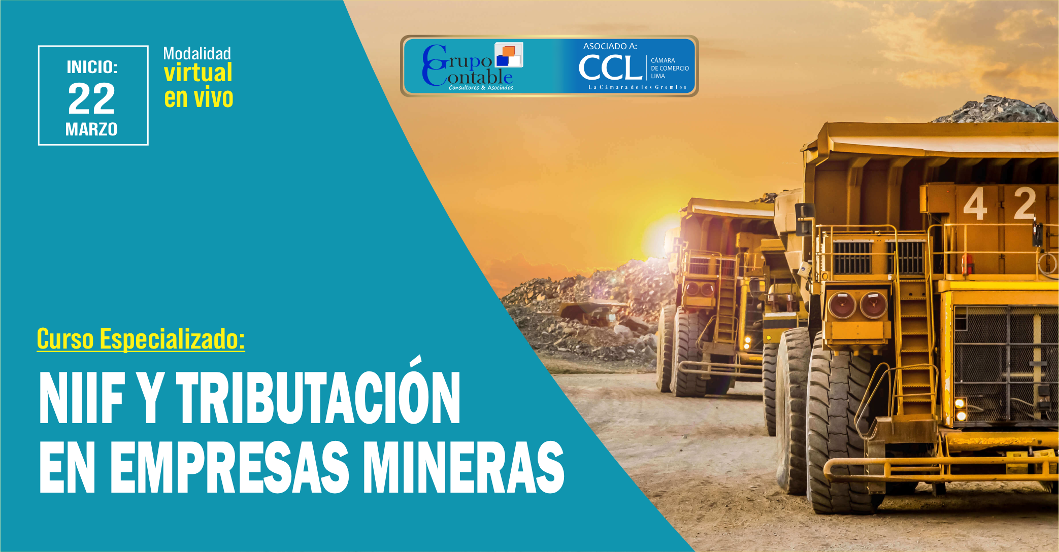 Curso Especializado NIIF y Tributación en Empresas Mineras